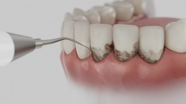 Reliable Dental contractor in Lewisville, NC by Dentist Open Now
